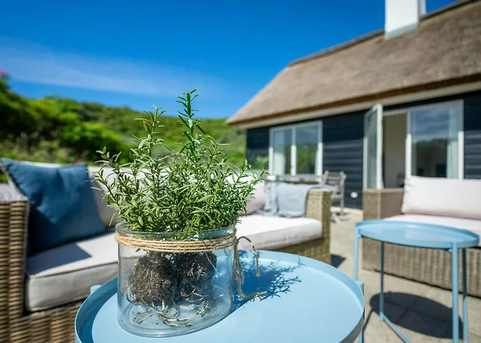 Thatched House At First Dune Row In Blokhus