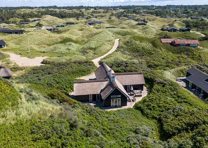 Thatched House At First Dune Row In *